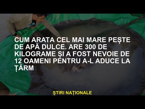 Cum arată cel mai mare pește de apă dulce. Are 300 de kilograme și a fost nevoie de 12 persoane pent