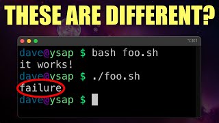 Why shebangs and permissions are important for Bash Scripts - permissions can be fun!