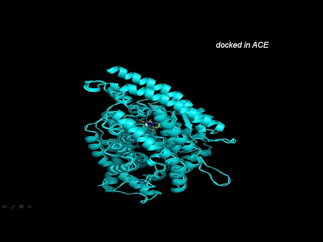 Drug Docking Software Understanding Docking in Computer-Aided Drug Design | Magica