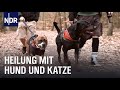 Mit Hunden in der Suchtklinik | Die Nordreportage | NDR Doku