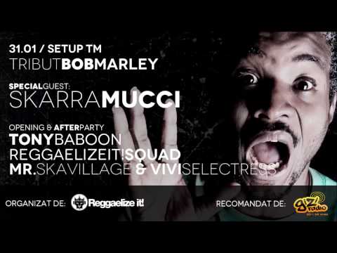 Tribut Bob Marley 2014 - Timisoara (Skarra Mucci, Mr. Skavillage, Vi Vi Selectress)