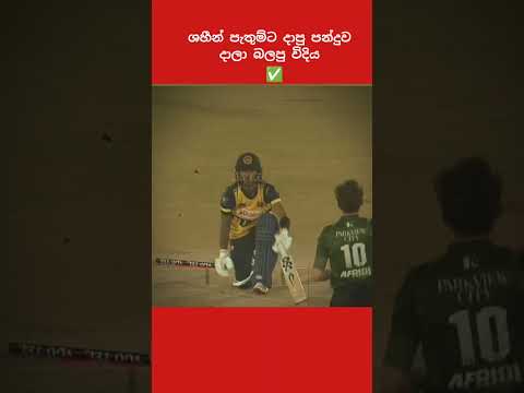 දෙවෙනි බෝලෙන් නේද ගියේ 💔 #pathumnissanka #youtubeshorts #srilankatrending