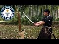 Martial Arts Master Attempts Katana World Record - Guinness World Records