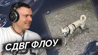 Медиа рецензия