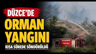   Düzce’de Orman Yangını Kısa Sürede Söndürüldü