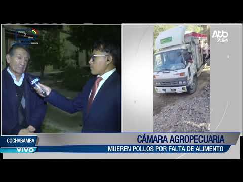 Cámara Agropecuaria alerta por muerte de pollos y riesgo de desabastecimiento