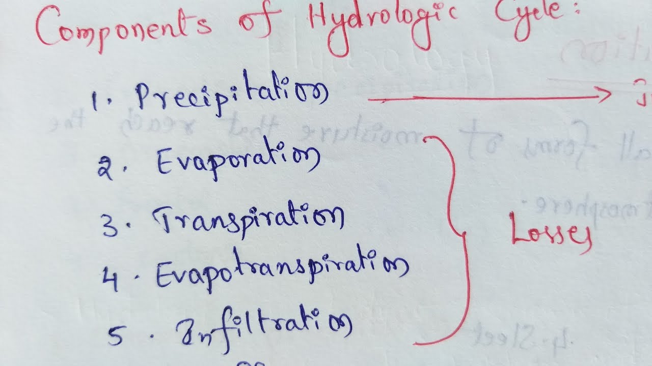 Components Of Hydrologic Cycle | Hydrological Cycle