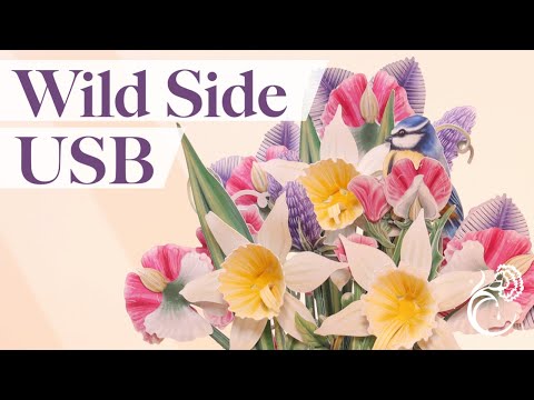 Wild Side USB - Launch Show