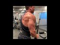 Rope Pushdowns (triceps)