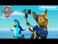 Pups Save The Penguins PAW Patrol Full Episode Mighty Pups Official Channel
