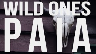 "Paia" by Wild Ones (official video)