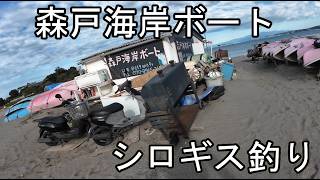 森戸海岸ボートシロギス釣り