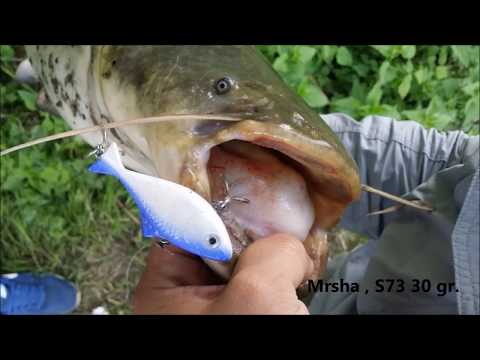 Spinning For Catfish On Zapadna Morava - Silicon Lure - Som - Siluro