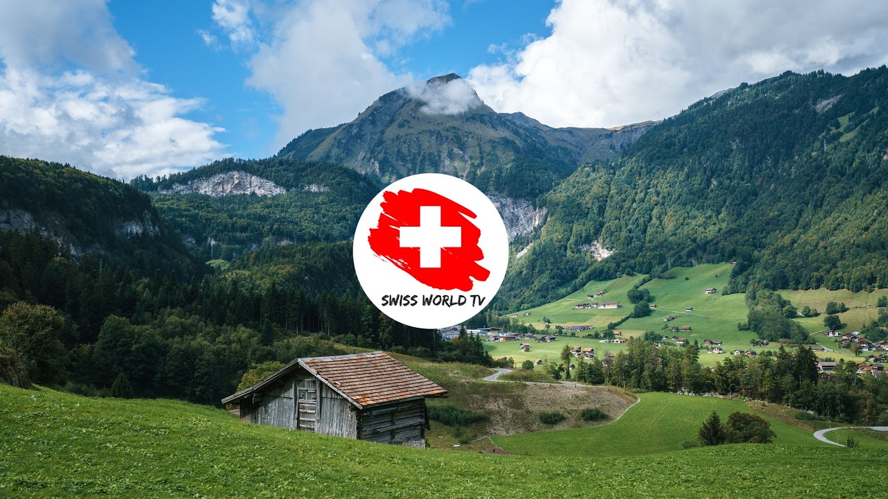 Busto Pallanuoto vs Pallanuoto Como