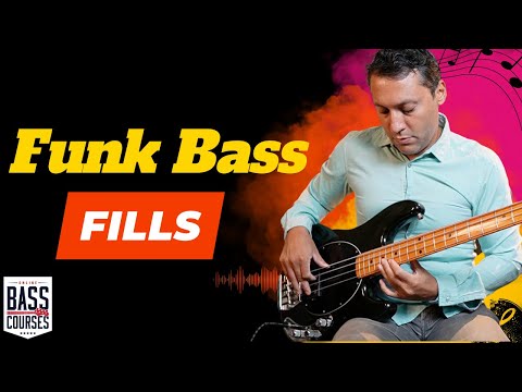 Live Funk Bass Fills Workshop - follow me as I create fills