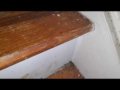 Bed Bugs All Over the Furnishings in Jackson, NJ