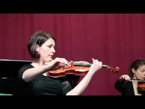 Johann Strauss Ensemble Wien