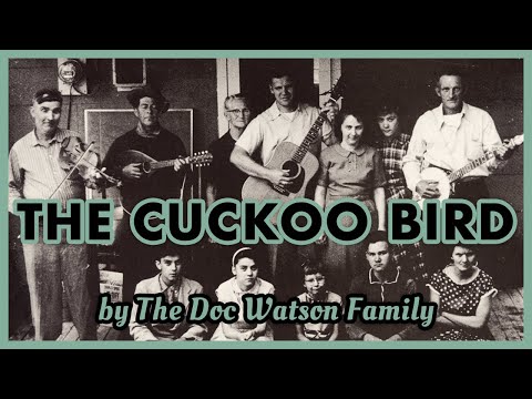download lagu mp3 mp4 Cuckoo Bird Family, download lagu Cuckoo Bird Family gratis, unduh video klip Cuckoo Bird Family