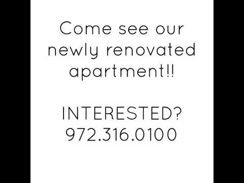 Newly Renovated Apartment Home