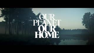 Gioseppo Our planet. Our home. anuncio