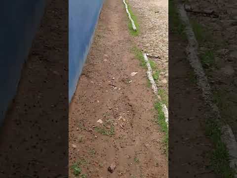 ras, invade são domingos caridade ce