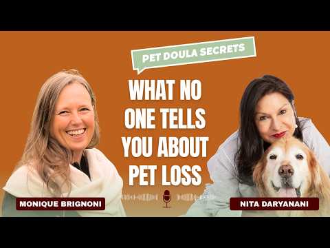 What Every Pet Parent Needs to Know Before Saying Goodbye