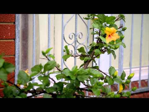 2/18 Ernest Street, Lakemba - Prudential Real Estate 4624 4400