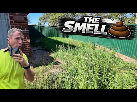 These Yards are Everything I hate about Lawn Mowing! Free Mow Fridays