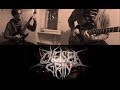 Chelsea Grin - S.H.O.T. (guitar cover) 