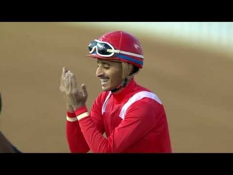Taif Racing Season Day 37 Arabic Highlights Meeting 37