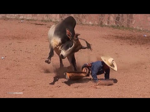 Toro Mocho - Lo Mejor de los Coleaderos