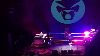 Thundercat - Lone Wolf and Cub (Live at the Wiltern)