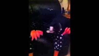 My Girl Gem.... The Frenchie Freak