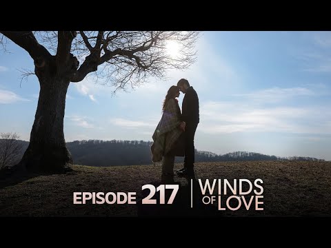 Winds of Love and 5 more