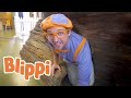 Blippi Explores A Children S Museum Educational Blippi Videos