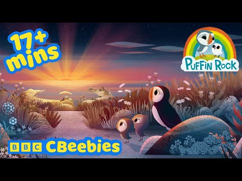 海邊的療癒冒險時光 🌊 | 海鸚鵡岩石動畫特輯 | CBeebies (Sleepy Seaside Adventures 🌊 | Puffin Rock Compilation | CBeebies)