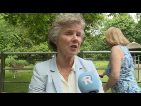 VV Dubbeldam krijgt mogelijk toch geen nieuwbouw