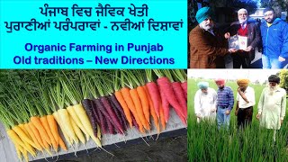 Organic Farming in Punjab (Old Traditions, New Directions} Documentary
