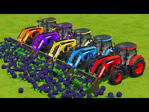 LOAD & TRANSPORT BLACKBARRYS WITH McCORMICK TRACTORS - Farming Simulator 22