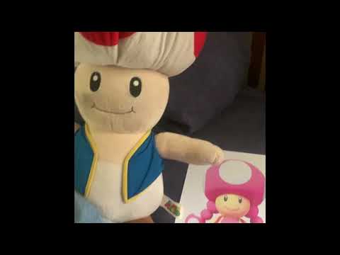 The Shocking Truth About Toad From Mario Brothers