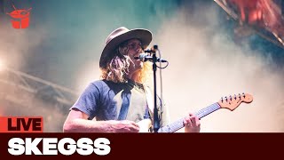 Skegss - 'Spring Has Sprung (live at Laneway Festival)