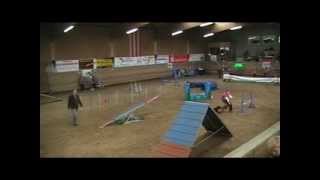 preview picture of video 'Agility WM Quali 22.04.2012,A-Lauf Medium, Astrid und Daja'