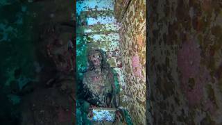 Dead Body Seen In The drowned Aircraft 😱 | Hind Ocean | #ocean #aircraft #shorts #titan