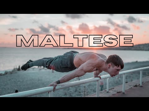 Top 6 Strongest Maltese Planche Atlhetes - [Sw Motivation]