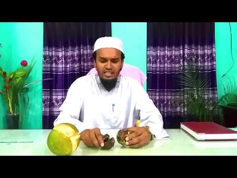 ডালিম ও বাতাবি লেবু /জাম্বুরা ফেটে যাওয়া প্রতিরোধে করণীয়