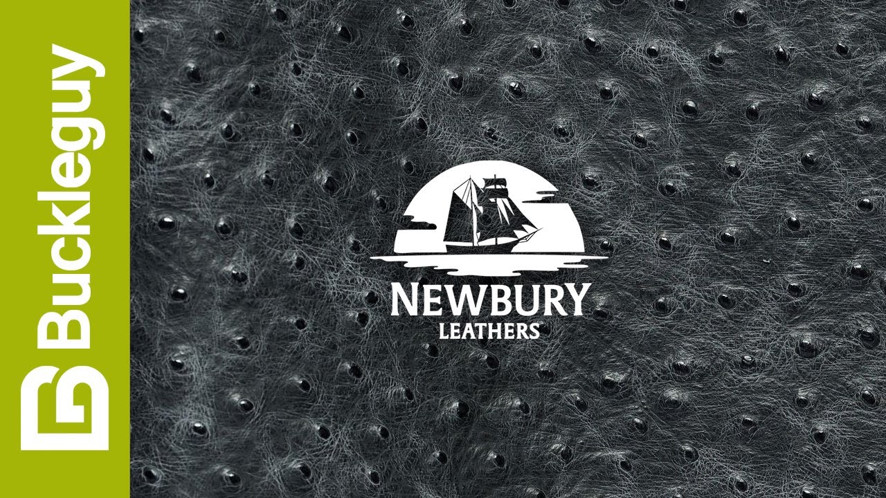 Newbury Leathers, Ostrich Embossed | Black | USA Leather Demo
