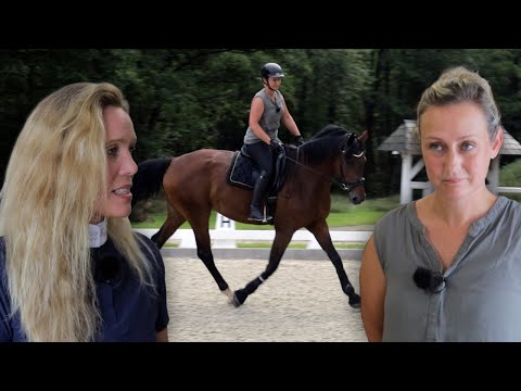Pferdeklinik-Ärztin schockt Pferdebesitzerin – Stute ohne Probereiten auf Auktion gekauft