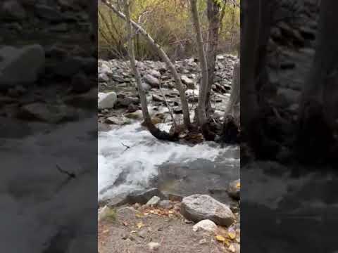 Part of the 1 hr long hike