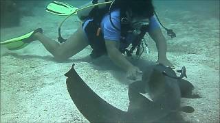 preview picture of video 'CORN ISLAND BUCEO'