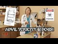 How Much Advil Will Kill Your Dog Ibuprofen Toxicity In Dogs